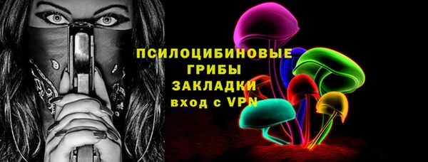 индика Алзамай