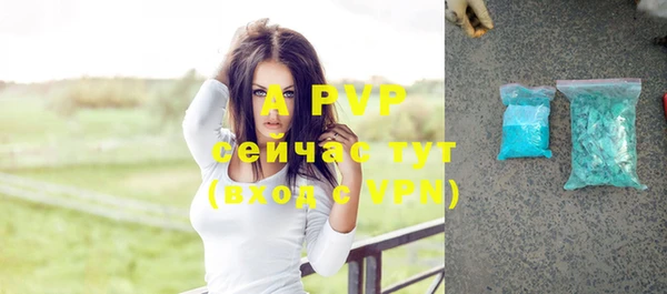 сатива Аркадак
