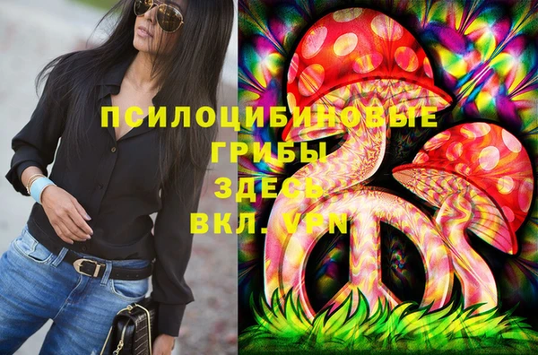 spice Армянск