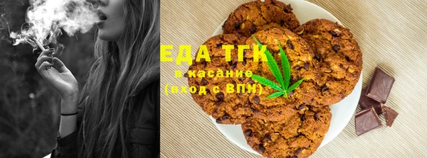 сатива Аркадак