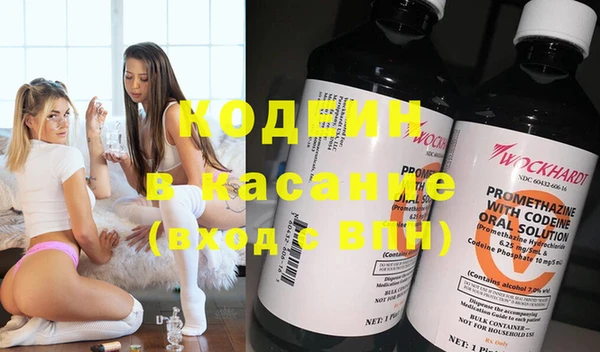 индика Алзамай